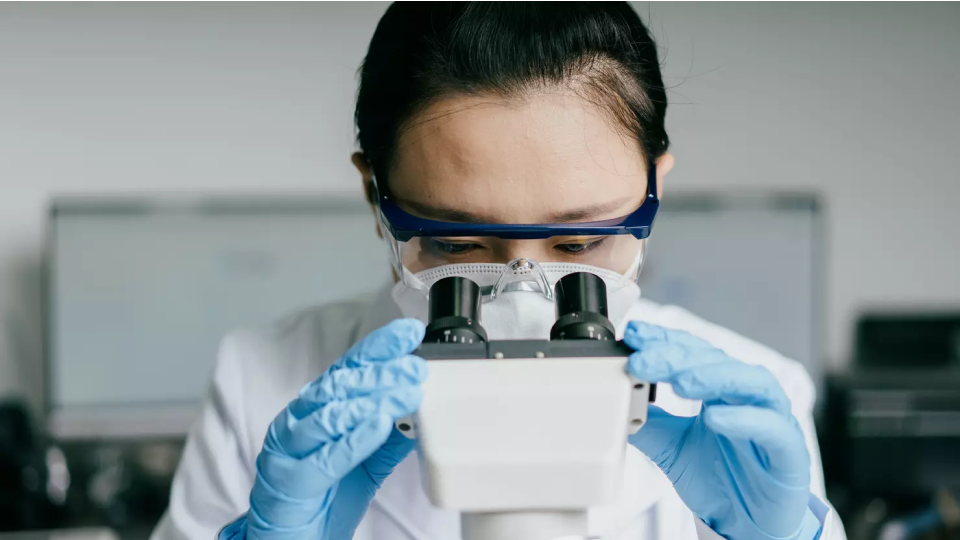 Scientist looking through microscope