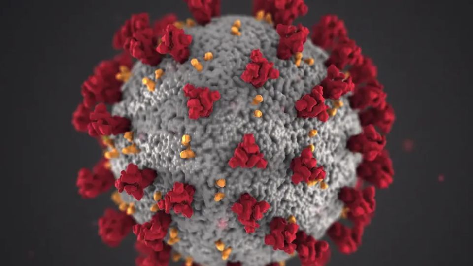 COVID molecule
