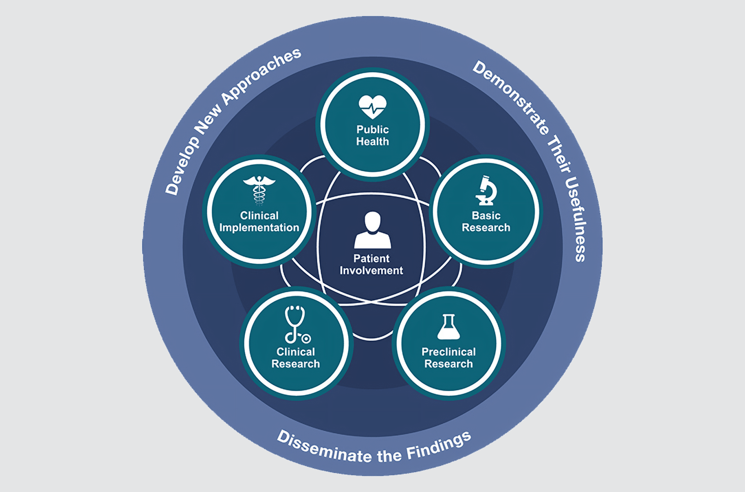 Diagram of the translational science continuum from basic research to public health with patient involvement at the center.