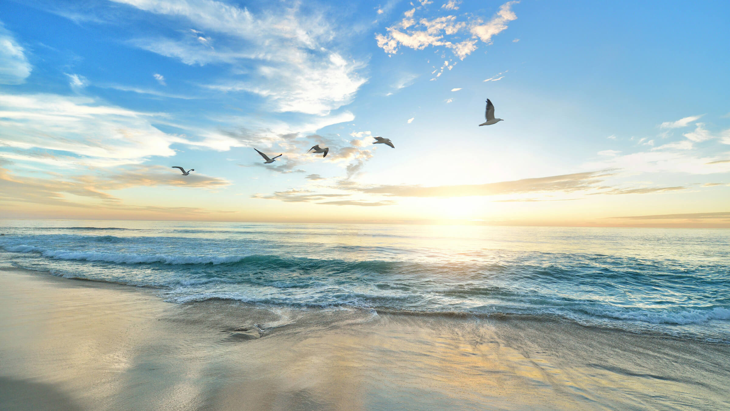 Seagulls flying over gentle ocean waves at sunrise along a sandy beach