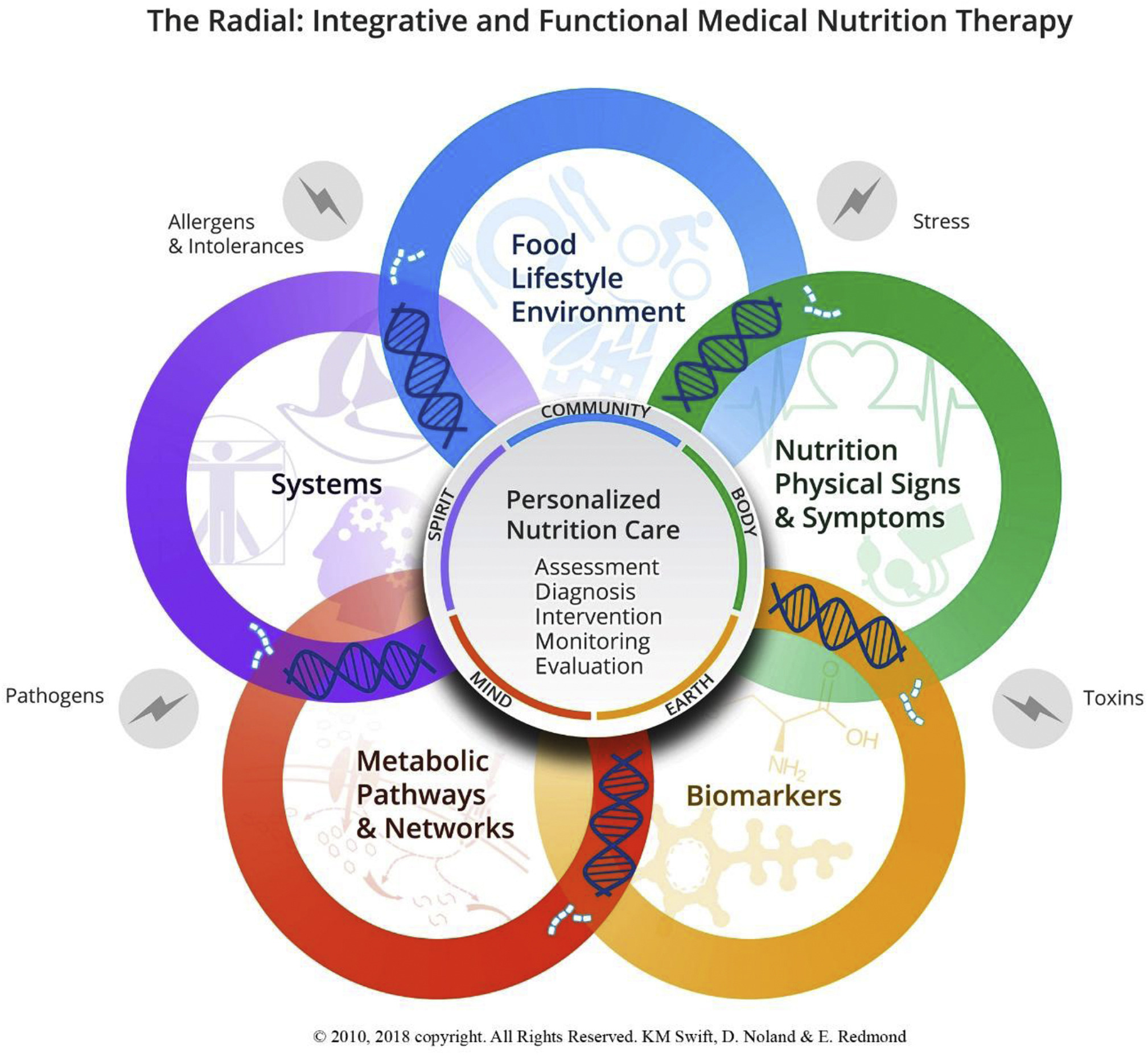 Infographic displaying the 5 areas of integrative and functional medical nutrition therapy