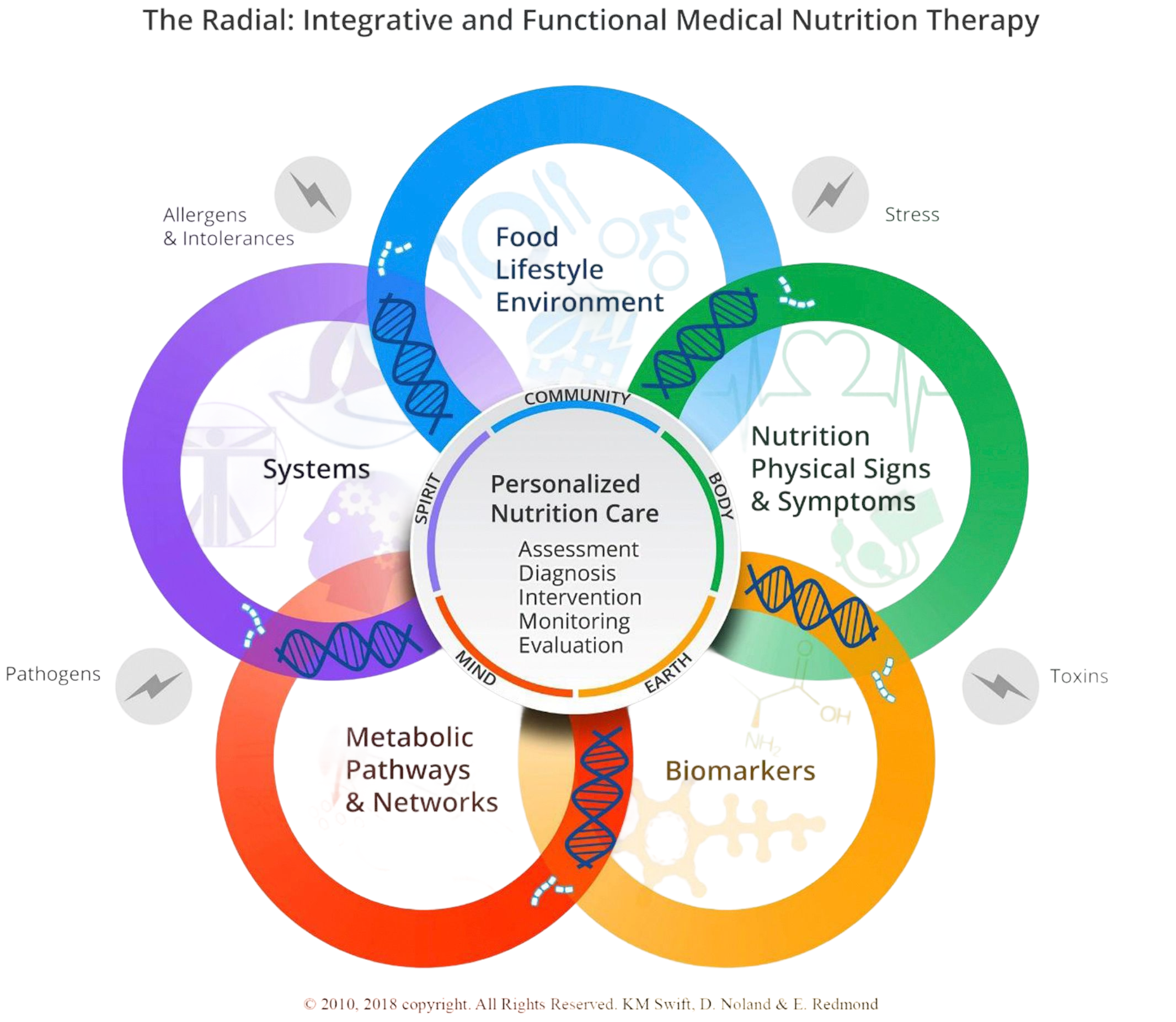 Infographic titled “The Radial: Integrative and Functional Medical Nutrition Therapy.” Five overlapping colored circles surround a central circle labeled “Personalized Nutrition Care,” which includes the processes: Assessment, Diagnosis, Intervention, Monitoring, and Evaluation. The central circle is framed by five dimensions of health: Community, Body, Earth, Mind, and Spirit. The five surrounding circles represent key areas considered in personalized nutrition care: * Food, Lifestyle, Environment (blue) * Nutrition, Physical Signs & Symptoms (green) * Biomarkers (yellow) * Metabolic Pathways & Networks (orange-red) * Systems (purple) DNA strand icons appear where the circles overlap, illustrating interconnected biological influences. Additional external factors shown around the diagram include Allergens & Intolerances, Stress, Toxins, and Pathogens. Faint background illustrations within each circle depict concepts such as food, exercise, anatomy, metabolism, and laboratory testing, emphasizing a whole-person, systems-based approach to nutrition and health.